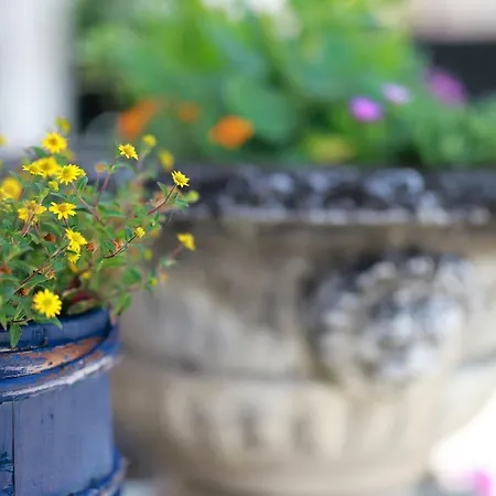 بيت ضيافة Casa Garibaldi بروتونيغلا