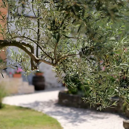 Casa Garibaldi بيت ضيافة 3*